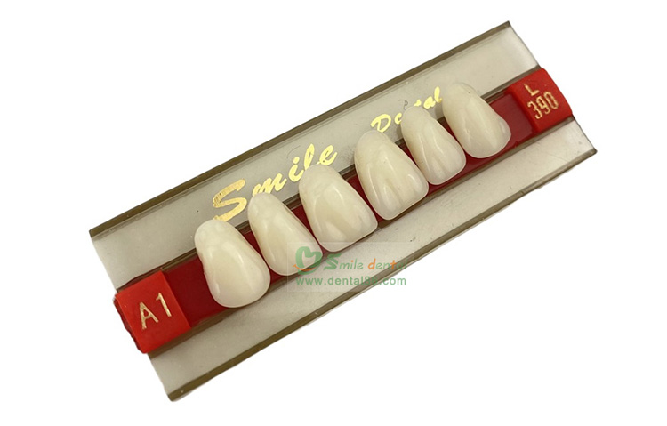 SA21 Acrylic Resin Teeth